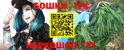 амф Гатчина