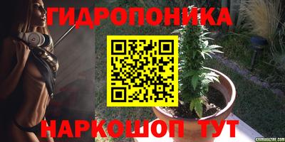 амф Гатчина