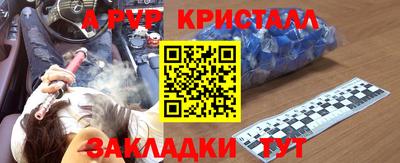 амф Гатчина