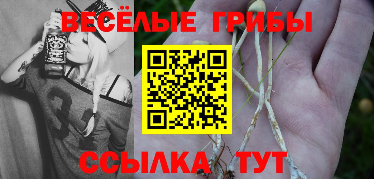 Псилоцибиновые грибы Psilocybine cubensis  Галлюциногенные грибы MAGIC MUSHROOMS  Вход с VPN  Орск 